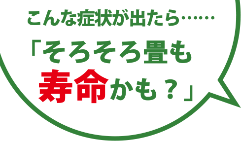 こんな症状が出たら……「そろそろ畳も寿命かも？」